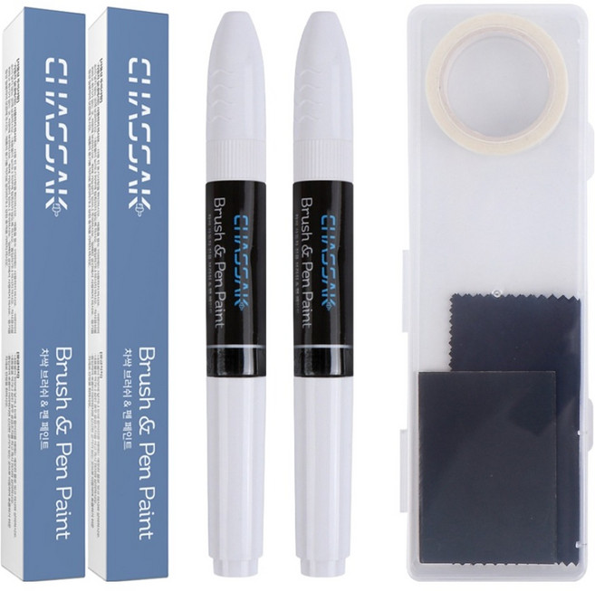차싹 테슬라 순정형 자동차 붓펜 페인트+펄색+전용키트, PPSW 펄화이트, 1개
