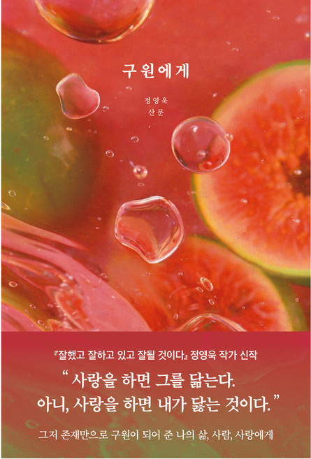 구원에게, 정영욱 저, 부크럼