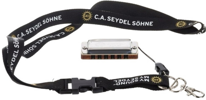 자이델 542120 하모니카 다이아토닉 블루스 빅식스 포크 6홀 C키, 혼합색상, 1개, 16667C