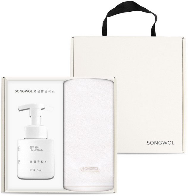 송월타올 × 생활공작소 프리즘 호텔수건 170g 30수 코마사 + 핸드워시 250ml 선물세트, 화이트, 1세트