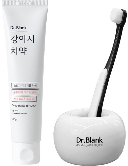 닥터블랭크 강아지 치약 딸기맛 80g + 초미세모 칫솔 + 세라믹 홀더 세트, 1세트