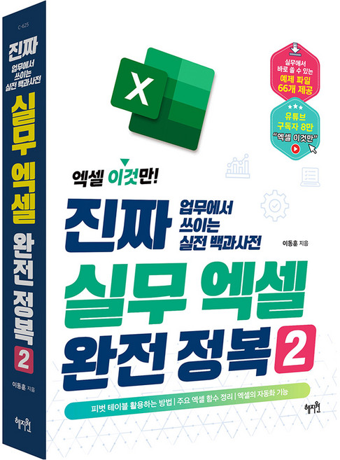 진짜 실무 엑셀 완전 정복 2 : 엑셀 이것만! 업무에서 쓰이는 실전 백과사전, 혜지원, 이동훈