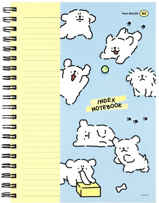 몰티즈 B5 인덱스 스프링 유선노트, 1개, 스카이블루