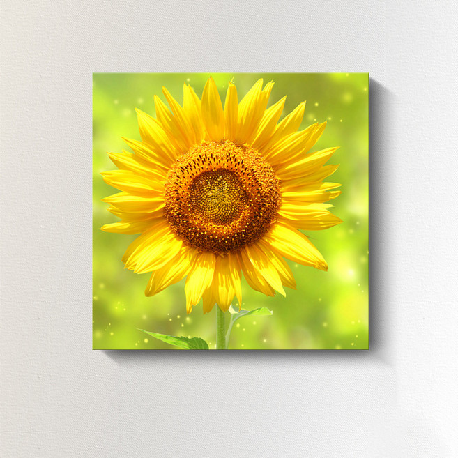 엑스터 복을 부르는 거실 풍수 인테리어 캔버스액자, 해바라기6