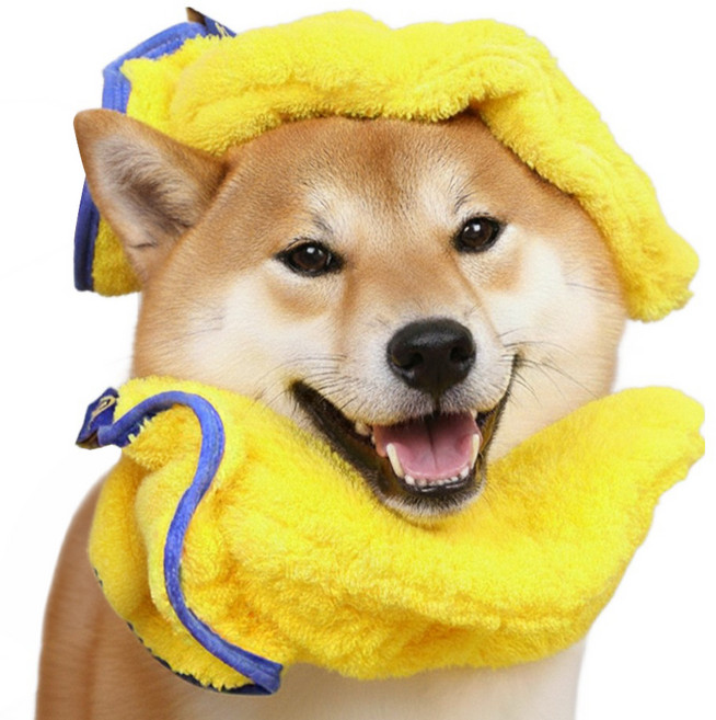 둥둥펫 반려동물 초강력 흡수 펫타올, 옐로우, 2개