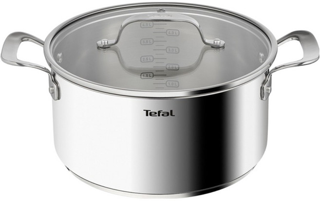 테팔 인덕션 퍼펙트 레지스트 양수냄비, 스테인리스 스틸, 1개, 24cm