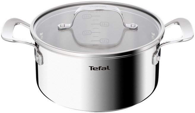 테팔 인덕션 퍼펙트 레지스트 양수냄비, 스테인리스 스틸, 1개, 20cm