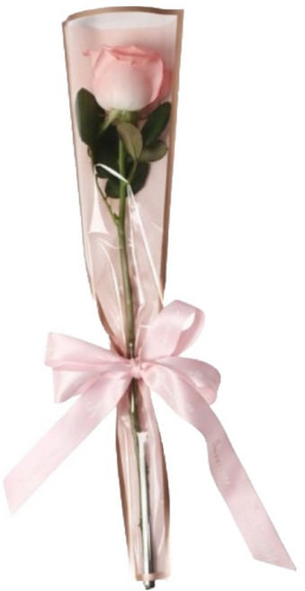 마다꾸미 금테 한송이 꽃 포장지 OPP 봉투, 핑크, 100개