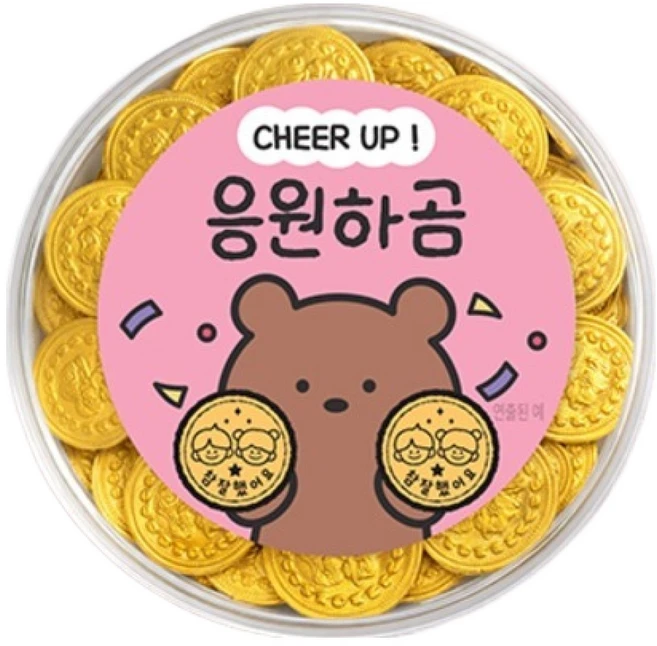스틴랜드 네덜란드 금화 동전 밀크초콜릿 참잘했어요 응원하곰, 260g, 1개 - 쿠팡