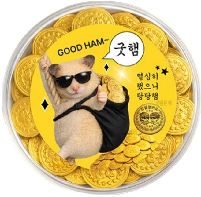스틴랜드 네덜란드 금화 동전 밀크초콜릿 참잘했어요 굿햄, 260g, 1개 - 쿠팡