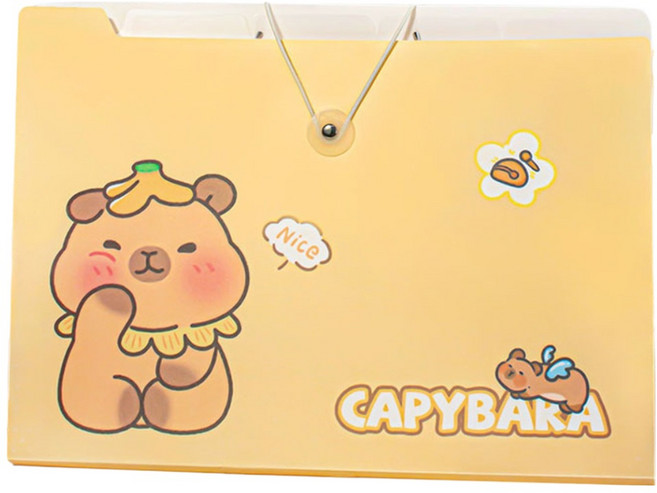 델리리움 예쁜 색감 대용량 아코디언 서류 A4 파일 케이스 1 8단 32 x 25 cm, 카피바라1, 1개