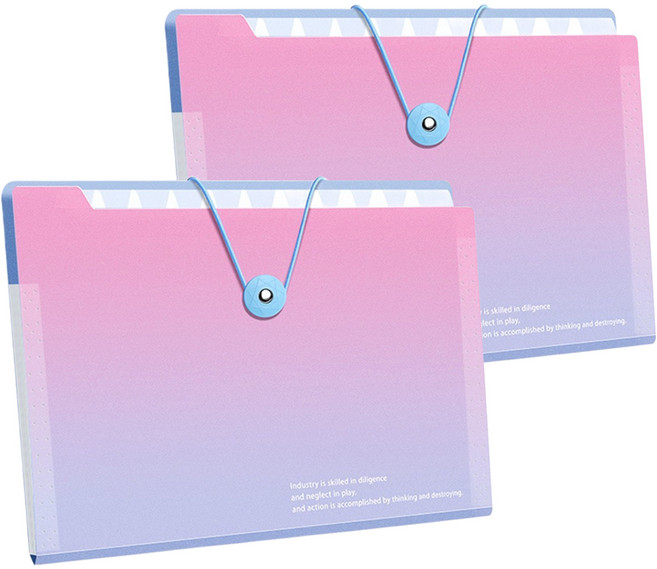 델리리움 예쁜 색감 대용량 아코디언 서류 A4 파일 케이스 5단 32 x 25 cm, 2개, 그라데이션 핑크