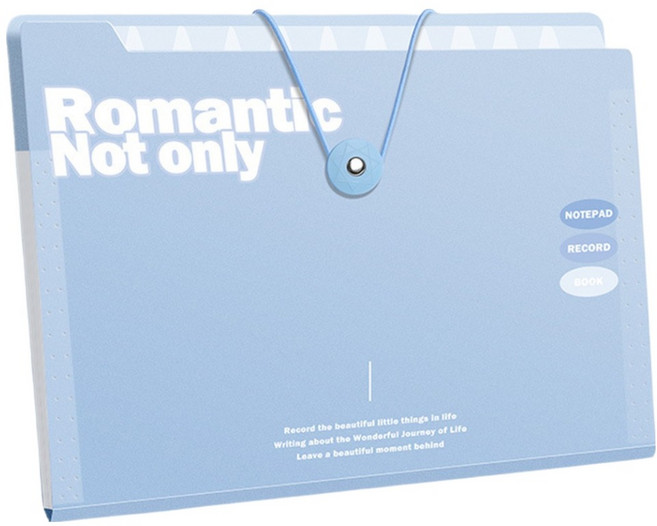 델리리움 예쁜 색감 대용량 아코디언 서류 A4 파일 케이스 8단 32 x 25 cm, 블루, 1개