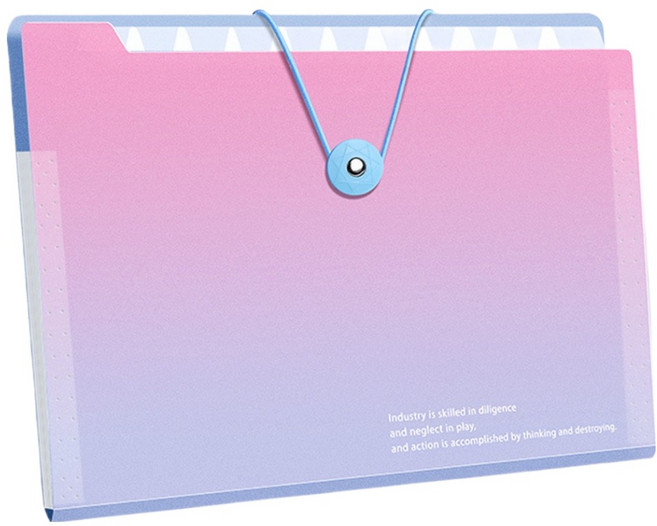 델리리움 예쁜 색감 대용량 아코디언 서류 A4 파일 케이스 8단 32 x 25 cm, 그라데이션 핑크, 1개