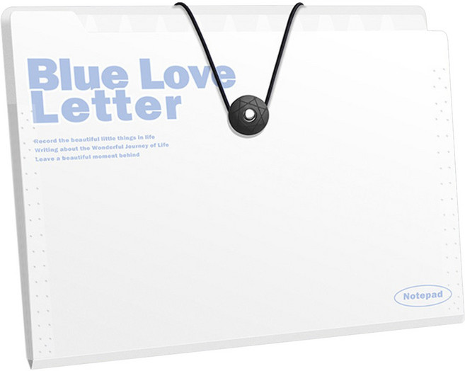 델리리움 예쁜 색감 대용량 아코디언 서류 A4 파일 케이스 12단 32 x 25 cm, 화이트, 1개