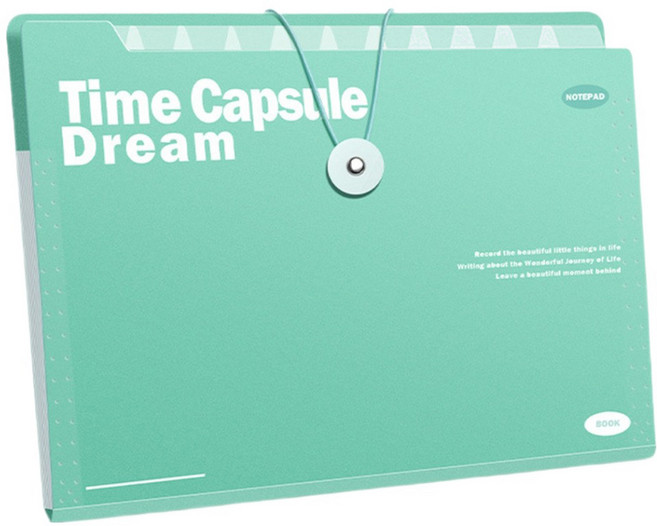 델리리움 예쁜 색감 대용량 아코디언 서류 A4 파일 케이스 5단 32 x 25 cm, 1개, 그린