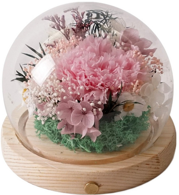 morningscent 시들지 않는 기념일 선물 프리저브드 카네이션 원형 무드등, 핑크