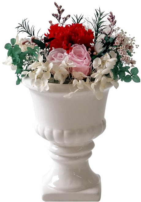 morningscent 시들지 않는 프리저브드 DIY 카네이션 센터피스, 레드