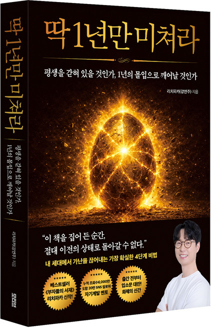 딱 1년만 미쳐라, 반양장