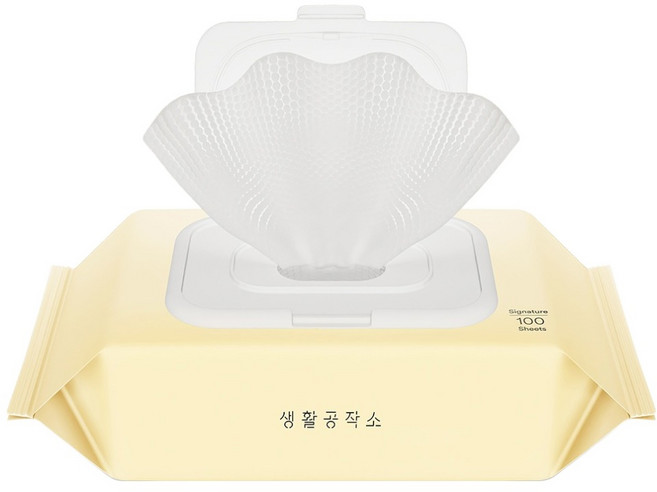 생활공작소 시그니처 물티슈 캡형, 1개, 100개입, 60g