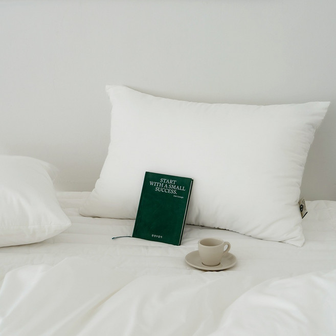 그래이불 오가닉 100수 고밀도 순면 베개커버, 화이트