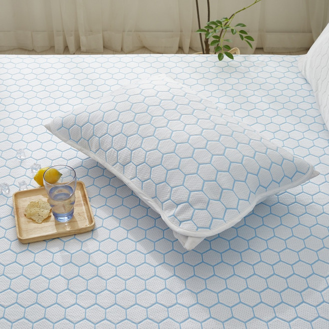 아토하우스 아이스쿨 냉감 베개커버 3p, 블루