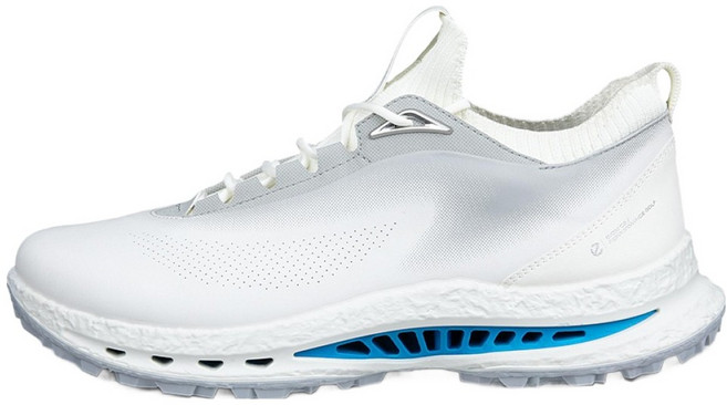 ecco 男款 GOLF BIOM C5 高爾夫球鞋 132604-54322