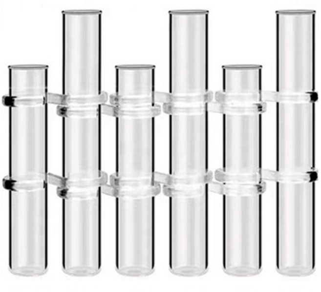 선빛 클리온 유리관 6구 인테리어 감성 꽃병, 투명