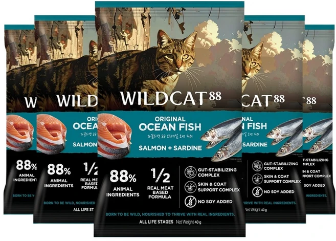 와일드캣88 오리지널 오션 피쉬 샘플 건식사료, 40g, 5개, 연어+흰살생선 - 쿠팡
