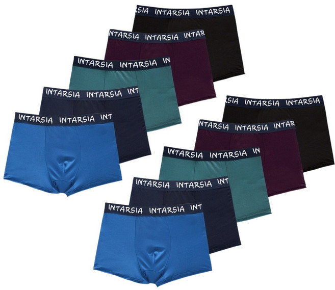 인따르시아 남성용 빅사이즈 데일리 드로즈 팬티 10장 세트 IN-3800