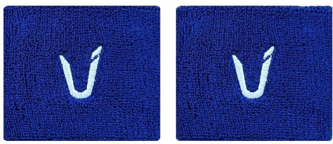 테크니스트 스포츠 손목밴드 TNA66006, 블루, 2개