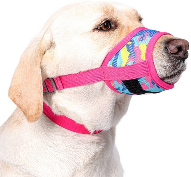 요런개 강아지 저자극 입마개 M, 02 용과 레드, 1개