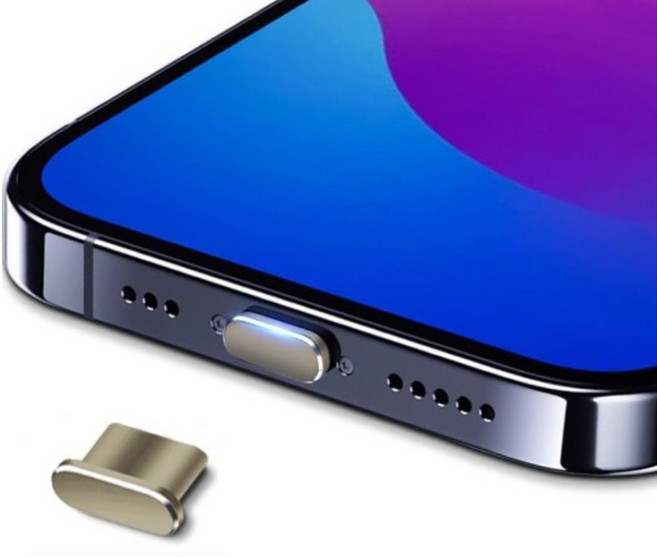 사인포스트 메탈 비비드 칼라 C타입 먼지 방지 차단 충전단자 보호캡 1.25 x 0.55 x 0.35 cm, 티타늄, 2개