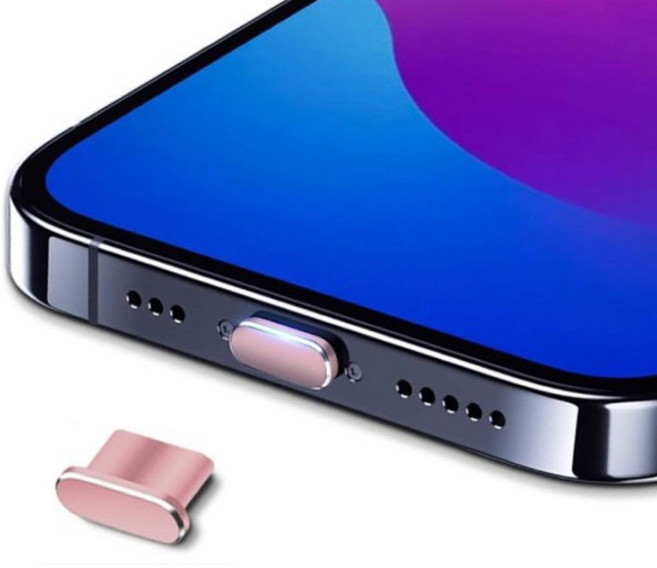 사인포스트 메탈 비비드 칼라 C타입 먼지 방지 차단 충전단자 보호캡 1.25 x 0.55 x 0.35 cm, 핑크, 2개