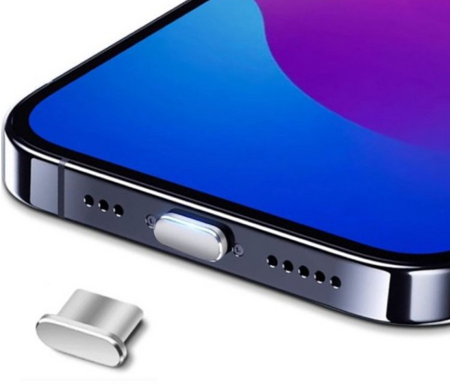 사인포스트 메탈 비비드 칼라 C타입 먼지 방지 차단 충전단자 보호캡 1.25 x 0.55 x 0.35 cm, 실버, 2개