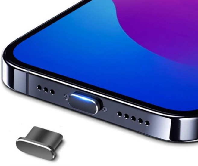 사인포스트 메탈 비비드 칼라 C타입 먼지 방지 차단 충전단자 보호캡 1.25 x 0.55 x 0.35 cm, 그레이, 2개