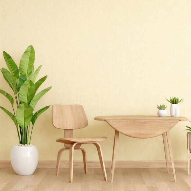 오펠리어 단열 시트지, 선샤인옐로우