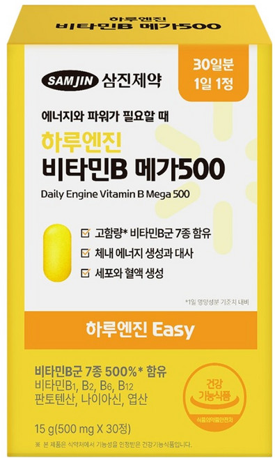하루엔진 이지 비타민B 메가 500 15g, 1개, 30정