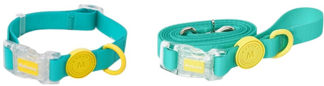 리치독스 반려동물 워터프리 방수 목줄 + 리드줄 세트, 네온민트, 1세트