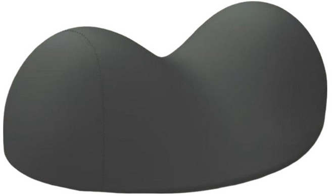 뉴리스 메모리폼 경추베개, 블랙, 1개