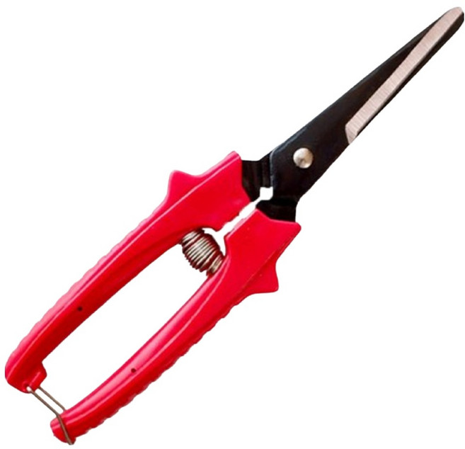 데일드 마늘가위, 1개