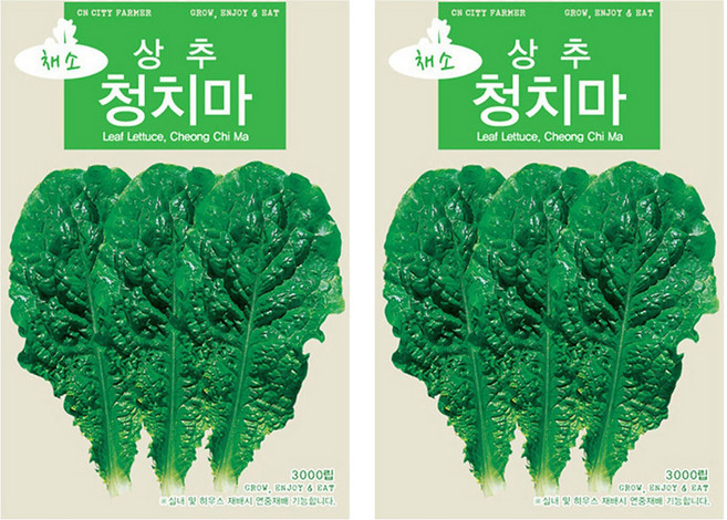 청농종묘 빨리 자라는 야채왕 프리미엄 토종 청치마 상추 씨앗 3000p, 2개