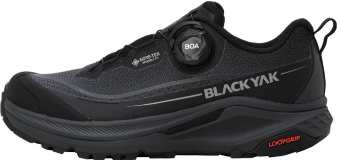 블랙야크 피크온 로우 D GTX 등산화 ABYSHXV904