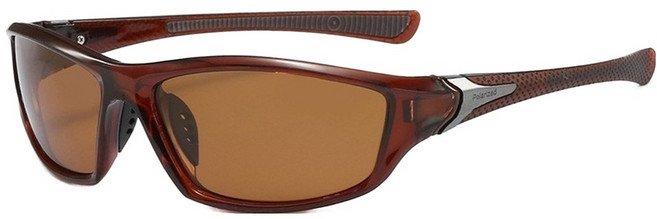 ROI라이프 주야겸용 방풍 변색 스포츠 고글, 투명브라운 브라운렌즈, 1개