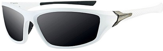 ROI라이프 주야겸용 방풍 변색 스포츠 고글, 화이트그레이 편광, 1개