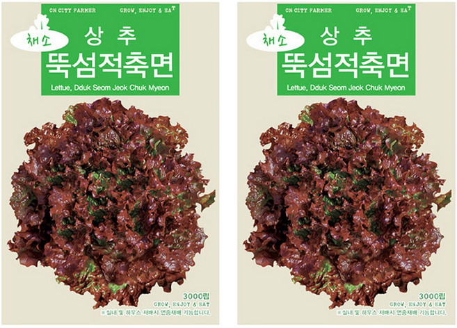 청농종묘 빨리 자라는 야채왕 프리미엄 꽃상추 뚝섬적축면 씨앗 3000립, 2개