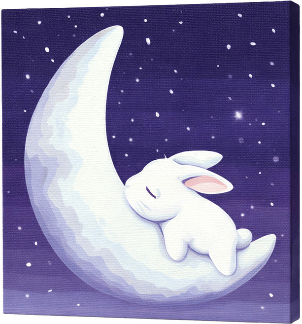 루아즈 DIY 쉬운 그림그리기 세트 20 x 20 cm, 16 달의 토끼, 1세트