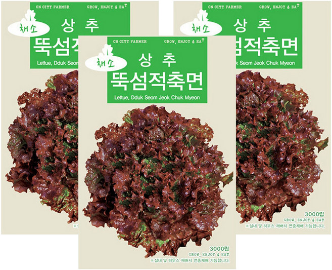 청농종묘 빨리 자라는 야채왕 프리미엄 꽃상추 뚝섬적축면 씨앗 3000립, 3개