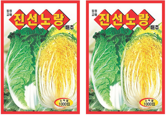 동원농산종묘 진선노랑 배추 씨앗 1000p, 2개