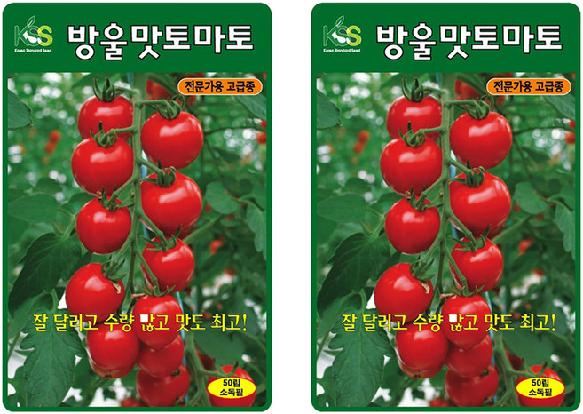 ks종묘 방울맛토마토 씨앗 50p, 2개